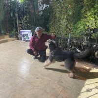 Héctor tbRNA 🧬て (@hector_fc_unam) 's Twitter Profile