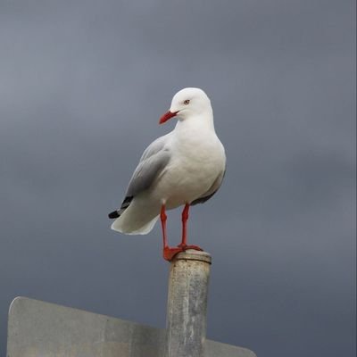 @EarthNSky15
