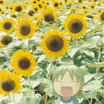 SunflowerPok's profile picture. /!\