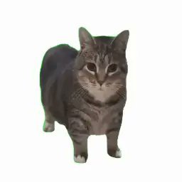 OIIAOIIABASE's profile picture. 