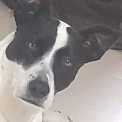 AndresVergaraM7's profile picture. 