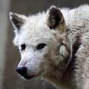 Edwin Agostini - @dillinger815 - Twitter