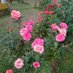 VISHNUPRASAD KURRE (@vishnup12709095) Twitter profile photo VISHNUPRASAD KURRE (@vishnup12709095) Twitter profile photo