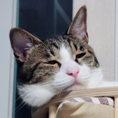 keumdam's profile picture. 