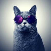Uh Huh (@nonefluencer) 's Twitter Profile