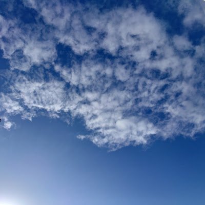 Mmickey1184982's profile picture. 