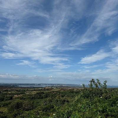 noor_abdulghan1's profile picture. 