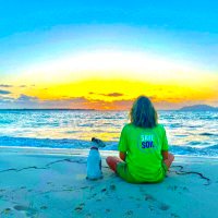 Louisa #SaveSoil (@louisaanisia) 's Twitter Profile Photo Louisa #SaveSoil (@louisaanisia) 's Twitter Profile Photo