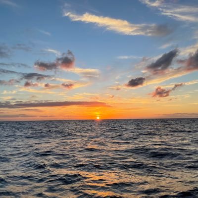 yamano_teresuke's profile picture. よろしくお願いします🫡