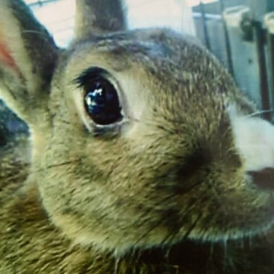 ma_461's profile picture. ソフトクリームを一緒に食べたいだけ🍦/全部夢の中のお話💤/シーソーゲーム/