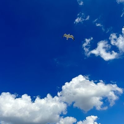 2024年11月後半から集スト被害に。
様々な店舗から顔認証不審者登録もされ
嫌がらせを受けています。無宗教です。趣味でイラストを描いています。