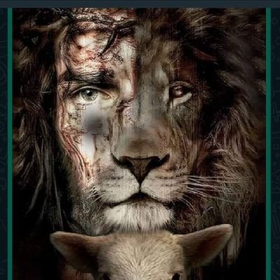 praxo60's profile picture. no a la agenda 2030 todo aquel que vaya en contra de la Constitución es enemigo público ,entonces démosle duro y sin piedad