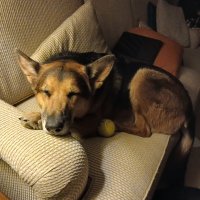 TexasHeat (@redtexasheat) 's Twitter Profile