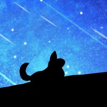 ナルチ 👑🐈‍⬛(今年YouTube活動予定)さんのプロフィール画像