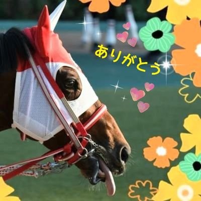 東サラ・広尾・ターファイト・キャロット(🔰)で一口馬主やってます。バスラットレオンは特別な存在✨命名アンモシエラ(サンドクイーン21) 写真初心者🔰。
(検索の為、出資馬と同じ名前の人を悪意なくブロックする場合があります)