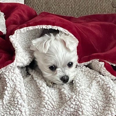 1stfancynancy's profile picture. 