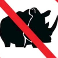 ANTI-RINO (@anna1555269) 's Twitter Profile