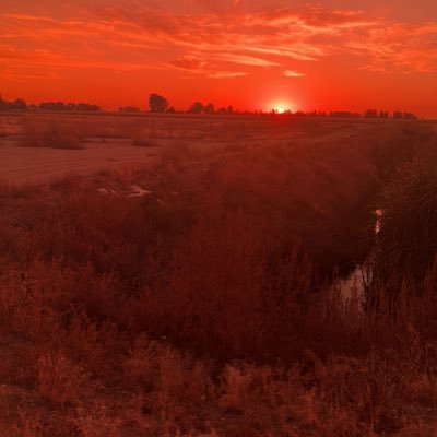 jado78520's profile picture. 