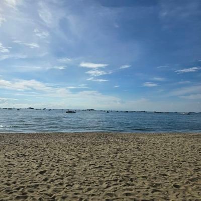 bobooDN's profile picture. 🦖🚗🐻🦋
แอคเดียวจะติ่งใครด็ได้