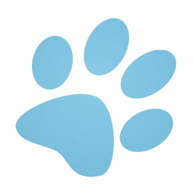 cokidoo's profile picture. 