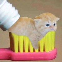 𐙚 ࣪ ⭒ (@posisif) 's Twitter Profile
