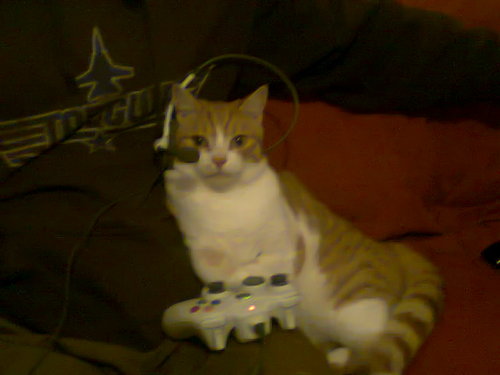 SARMY180's profile picture. SARMY MEANS SECRET ARMY SO FOLLOW!!