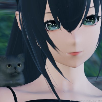 こちらは主にゲーム（PSO2NGS他いろいろ）やちょっと気になったこと用になりました。猫の話題は@nyanmonyaaiです。PSO2NGSはship4で遊んでいます。他に真・女神転生、Wizardry、ティアキン、エルデンリングなどいろいろ遊んでいるゲームと猫大好きな人です。