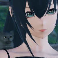 なじゅ🐈🐾 (@ashnyan) 's Twitter Profile