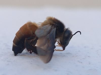 FyneHy's profile picture. business