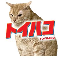 ゆとぴ@トイハコ/ギネマナッツ (@frc_watashi) 's Twitter Profile Photo ゆとぴ@トイハコ/ギネマナッツ (@frc_watashi) 's Twitter Profile Photo
