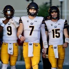 @goldenbearzone