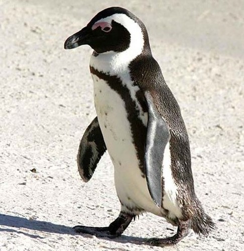 andykerr8's profile picture. Happily married, gorg wife, 2 great sons, a black lab. Vale fan and being dragged into middle age with my prog rock and electro dance/rave cd's intact !