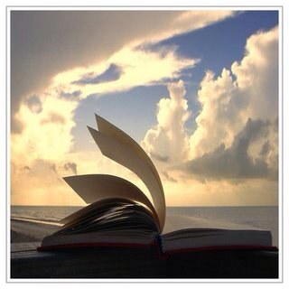 MonaAlSheikh's profile picture. Educationist, reader, writer, neurophysiologist, physician, and registered accreditation reviewer with ETEC since 2011.