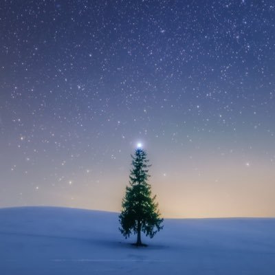 HAKKAtag0406's profile picture. &TEAM応援🏷️ 使いこなせるか不安で🏷️垢作っていませんでしたが今やらないと後悔する！と思い立ち、2024.4.06赤坂マラソン🏃の日に作りました。🔰ですががんばりたいです🫶 よろしくお願いします！