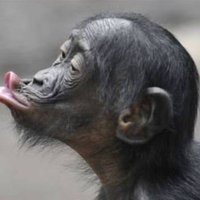 JA KISUMU (@antonio_hezzy) 's Twitter Profile