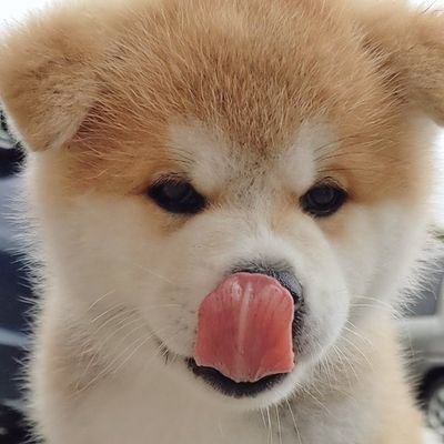 ブロックチェーン技術 分散型台帳技術(=DLT:Distributed Ledger Technorogy)の勉強会をしています。世間で使ってみるのが目的かも(実装チーム)