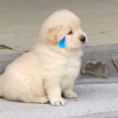 ₍ ⺣̤̬ ₎