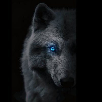 vatanseverr777's profile picture. 🇹🇷