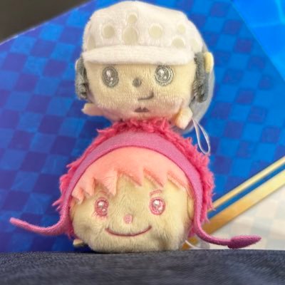 推しはロシナンテ❣️スタバ×2🏆8パック×2🏆フラシ🥇×1🥈×1女王杯×1🏆旦那と10歳と8歳の息子の家族全員でカードしてます☺️コナンカードもやってます👓 🎀保護者🎓
