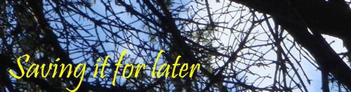 madameprepper's profile picture. 