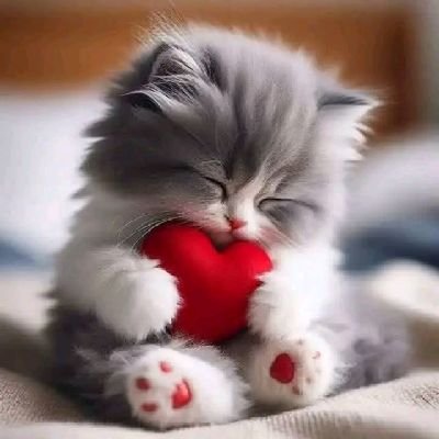 Paridoll1214's profile picture. Always thinks 🤔 Positive