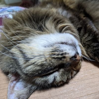 him_ken's profile picture. vape爺 無言フォロー失礼します