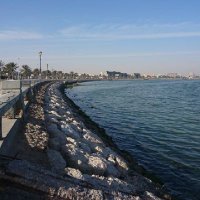 حسين مبارك (@hussein76535) 's Twitter Profile