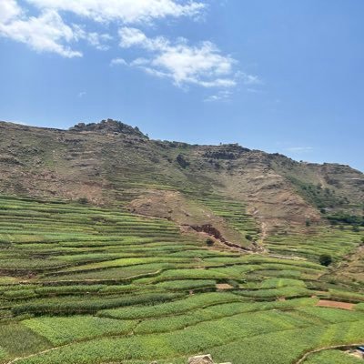 r7L0JHSyjxgu2bn's profile picture. ربي فرج همي ويسر أمري