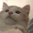 wstney's profile image
