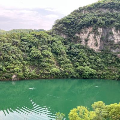 Chenx1983china's profile picture. 我未必能唤醒周围的人，我只是挣扎着不让自己沉睡:我没能力推翻一堵墙，但我不会给这堵墙增加哪怕一块砖:我注定改变不了权势，我只是抗争着不让权势改变我:我可能一辈子看不到未来，但我永远铭记着自己的信仰和方向。每个人灵魂深处都有颗种子，有人选择弃置，有人会给它创造成长的土壤！