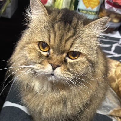 FaizalAris5943's profile picture. 