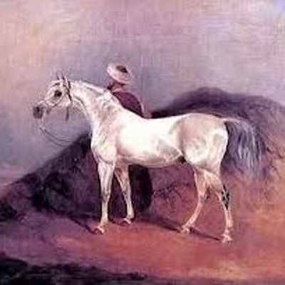 Hsygw5's profile picture. أُطاعِنُ خيلاً من فوارسِها الدهرُ وحيدًا وما قولي كذا ومعي صبري