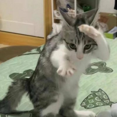 0ahffk0's profile picture. 구독하게해주세요