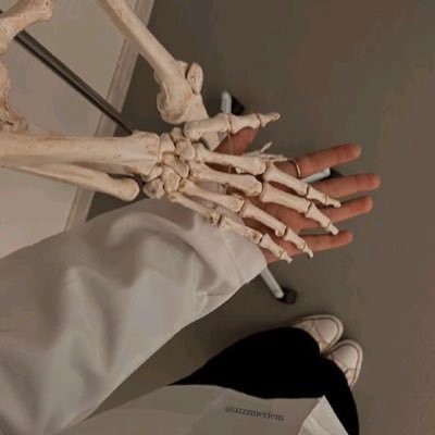 naphysics's profile picture. 